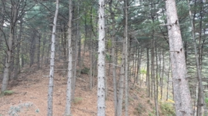 의정부지법 2019타경85641-1 사진