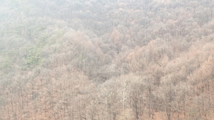 의정부지법 2019타경89407-1 사진