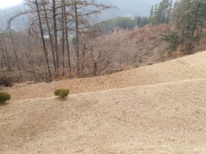 의정부지법 2019타경90865-1 사진