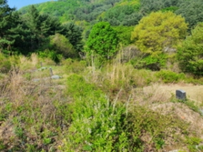 의정부지법 2020타경77455-1 사진