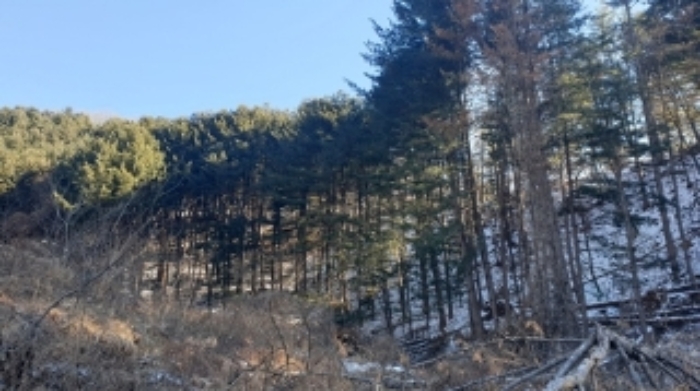 의정부지법 2020타경91314-1 사진