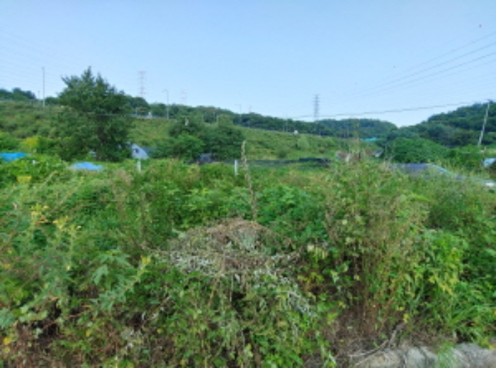 의정부지법 2021타경7774-1 사진