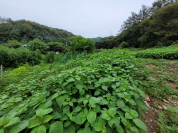 의정부지법 2021타경81512-1 사진