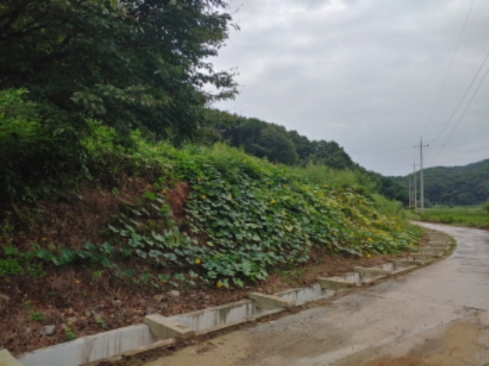 의정부지법 2021타경82997-1 사진