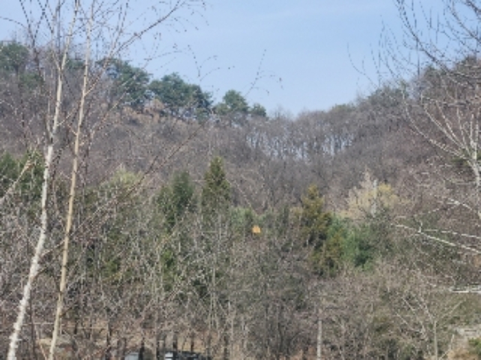 의정부지법 2024타경74652-4 사진