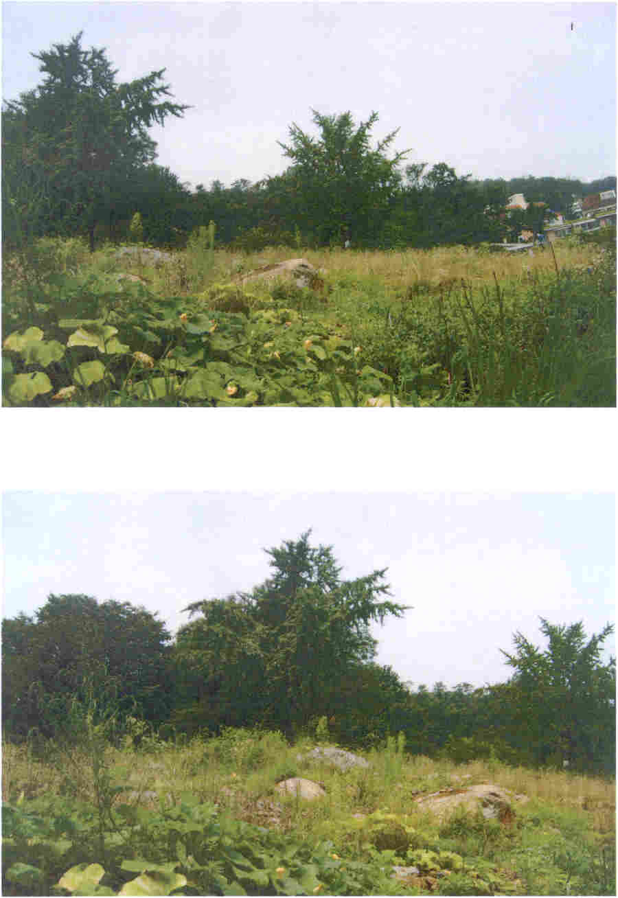 서울서부지법 2007타경9265-1 사진