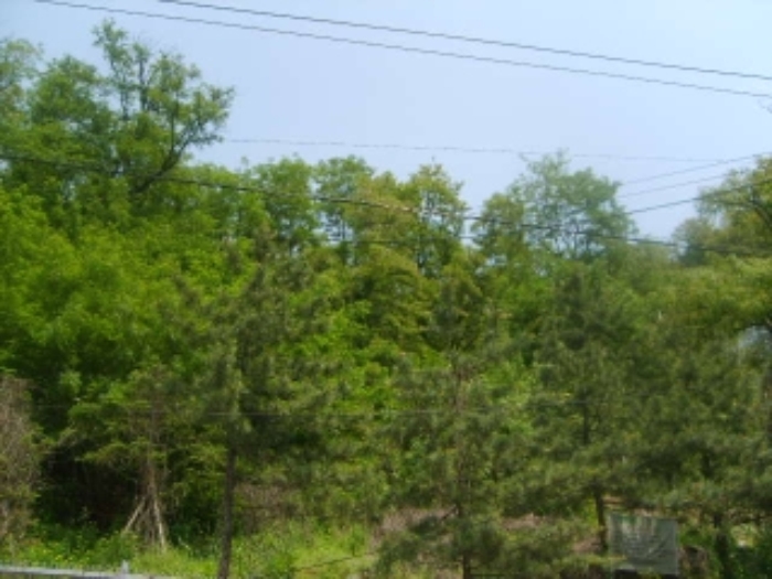 서울서부지법 2009타경8853-1 사진