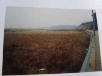 인천지법 2007타경455-1 사진