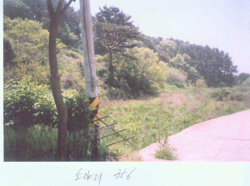 인천지법 2007타경3874-1 사진