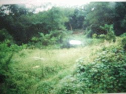 인천지법 2007타경42343-1 사진
