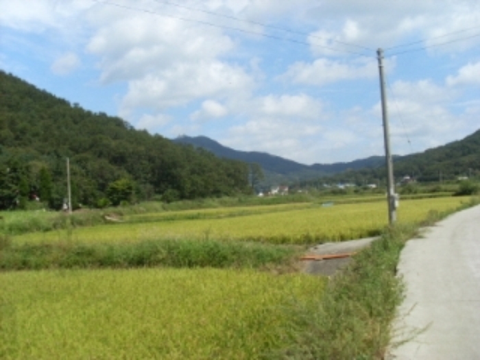 인천지법 2012타경67476-2 사진