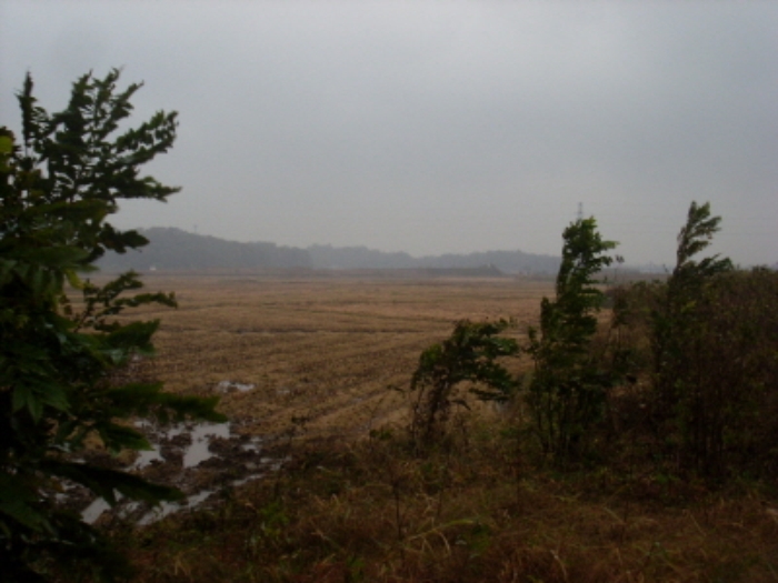 인천지법 2012타경67667-1 사진