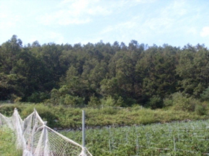 인천지법 2012타경68059-2 사진