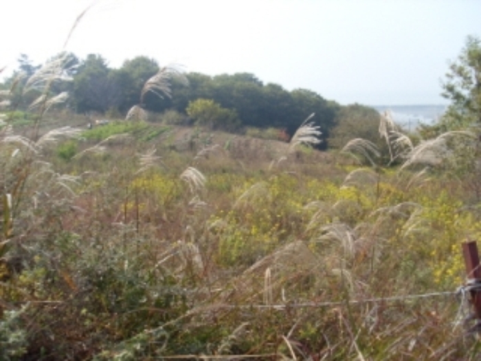 인천지법 2012타경72751-3 사진