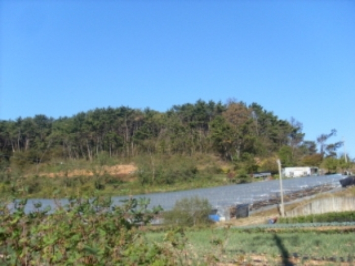 인천지법 2012타경74634-1 사진