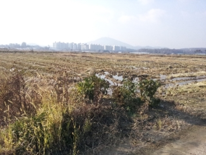 인천지법 2012타경78889-1 사진