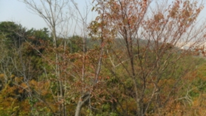 인천지법 2012타경79295-1 사진