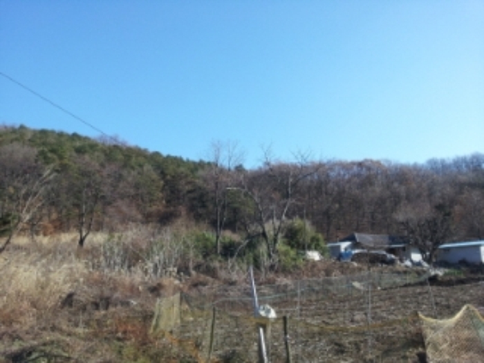 인천지법 2012타경87883-1 사진