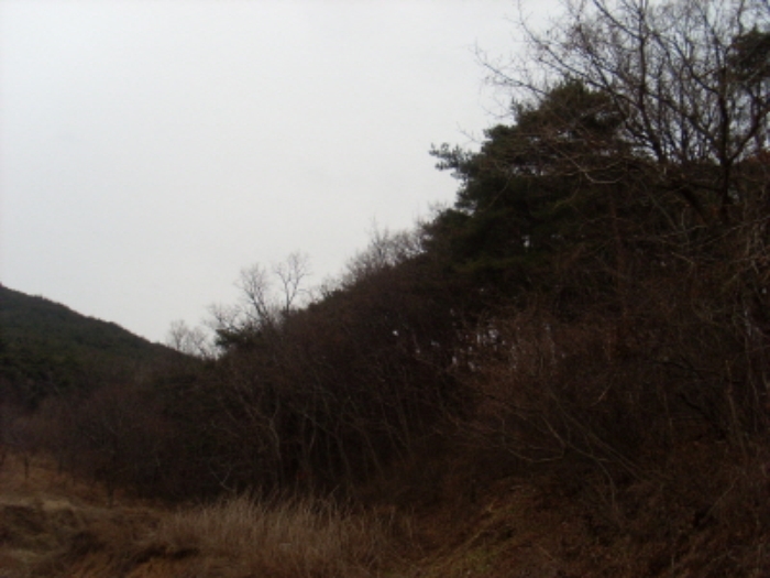인천지법 2012타경99886-1 사진