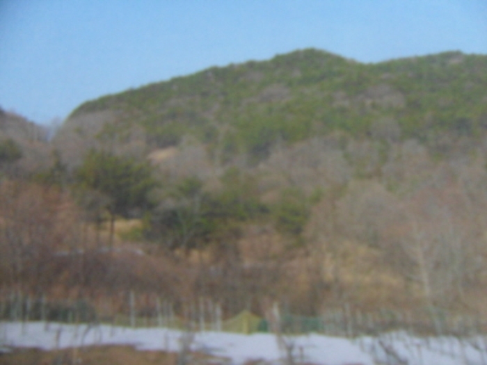 인천지법 2012타경100984-1 사진