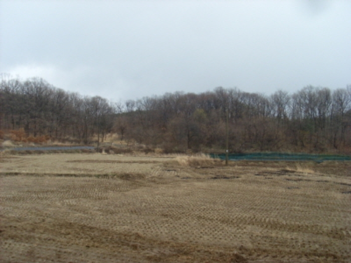 인천지법 2013타경5475-1 사진
