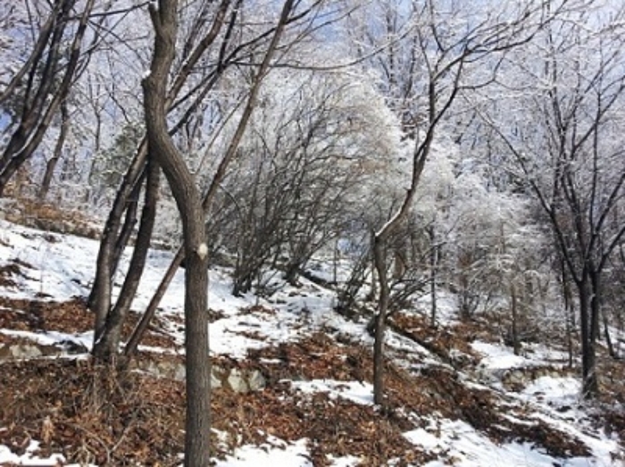 인천지법 2013타경6324-1 사진