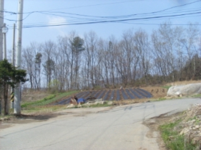 인천지법 2013타경29433-2 사진