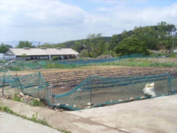 인천지법 2013타경32897-1 사진