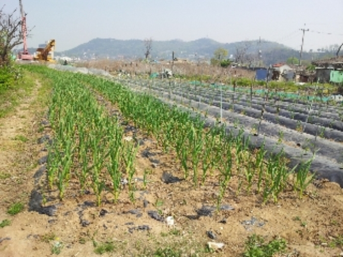 인천지법 2013타경35728-1 사진