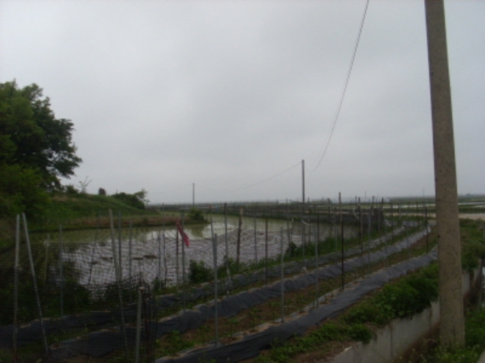 인천지법 2013타경36134-1 사진