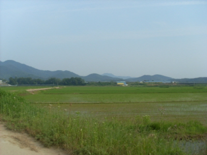 인천지법 2013타경39218-1 사진