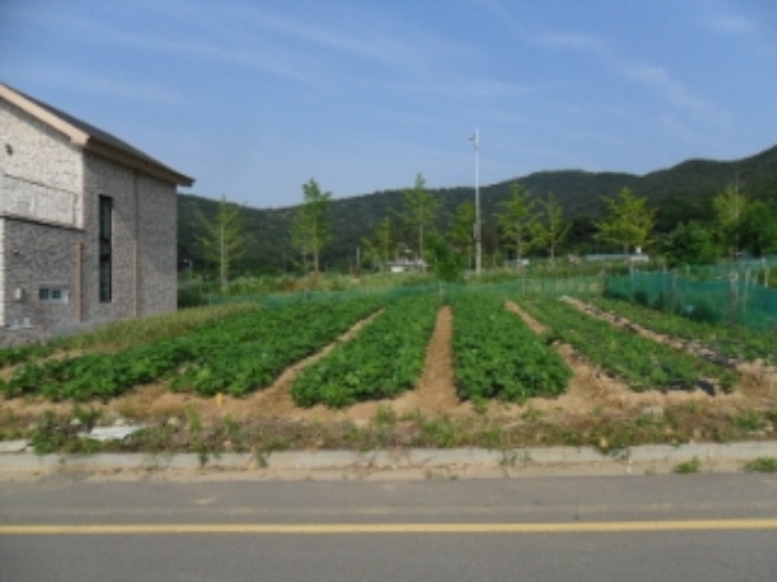 인천지법 2013타경39355-1 사진
