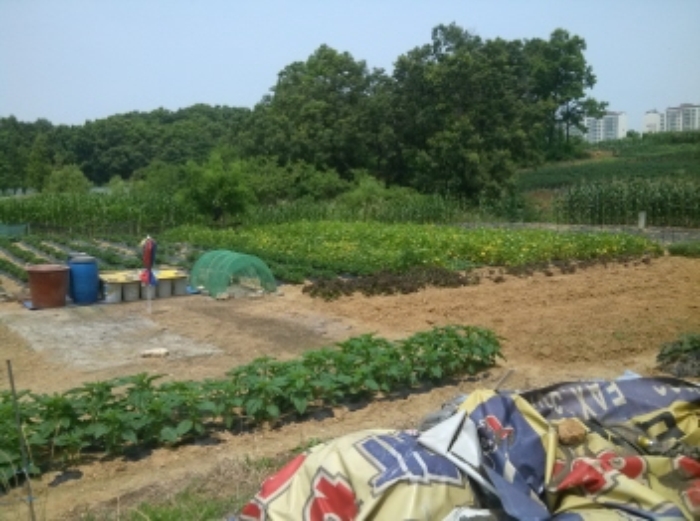 인천지법 2013타경47875-1 사진