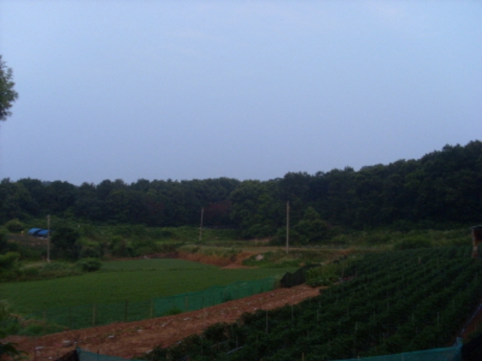 인천지법 2013타경52174-1 사진