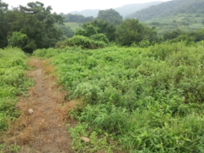 인천지법 2013타경52372-1 사진