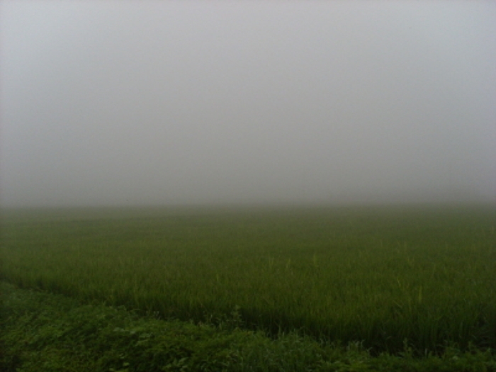 인천지법 2013타경52419-1 사진