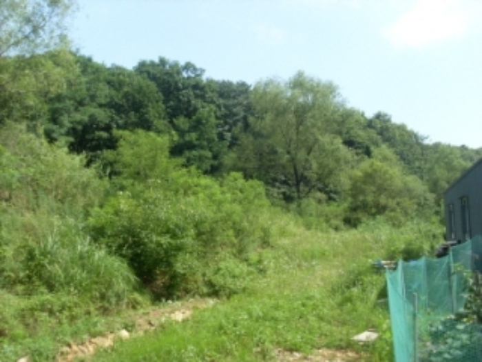 인천지법 2013타경54552-1 사진