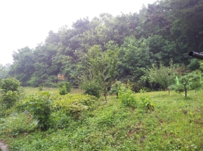 인천지법 2013타경55111-1 사진