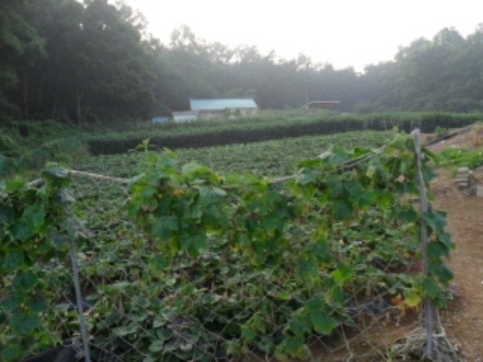인천지법 2013타경55203-1 사진