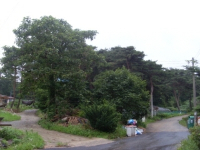 인천지법 2013타경55258-1 사진