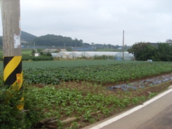 인천지법 2013타경55746-1 사진