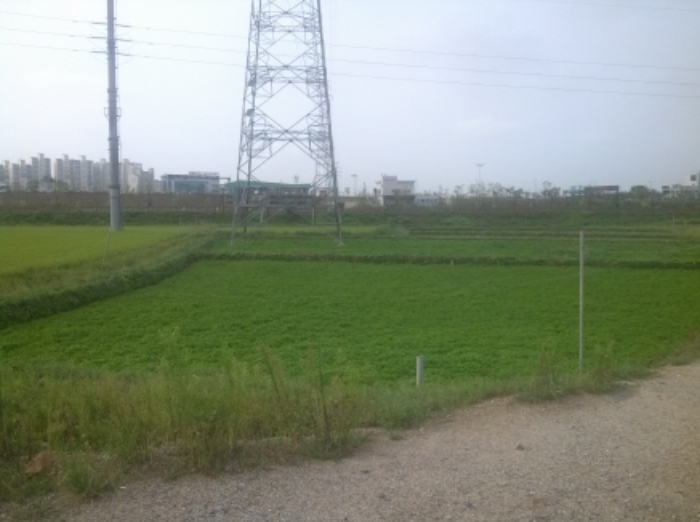 인천지법 2013타경55968-1 사진