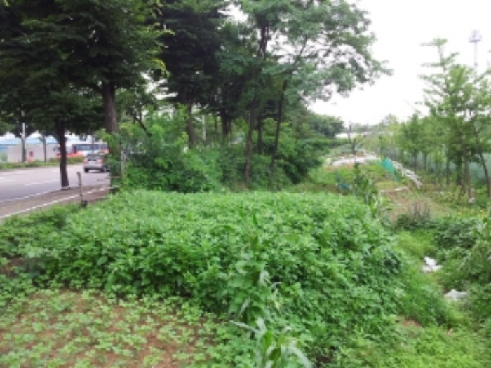 인천지법 2013타경56596-1 사진
