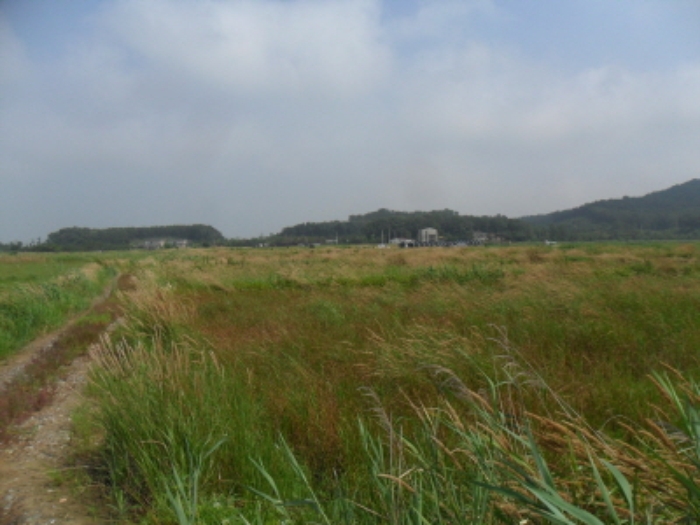 인천지법 2013타경57131-1 사진