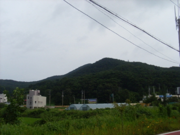 인천지법 2013타경62539-1 사진