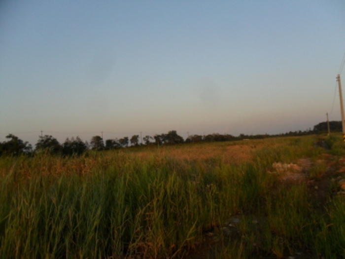 인천지법 2013타경65286-1 사진