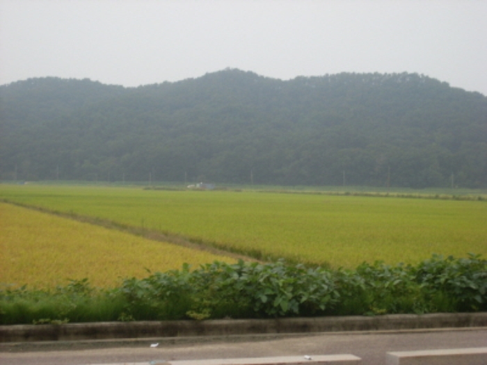 인천지법 2013타경70752-2 사진