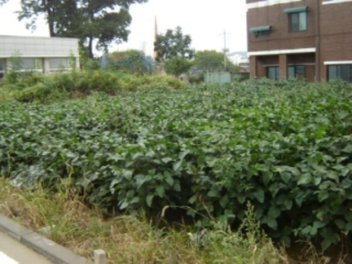 인천지법 2013타경73157-1 사진