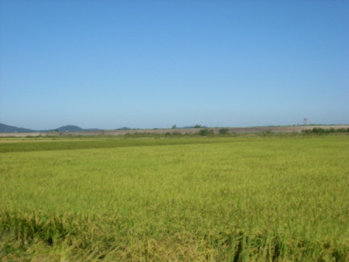 인천지법 2013타경74105-1 사진