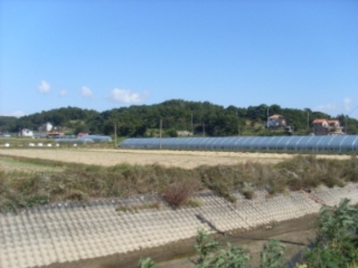 인천지법 2013타경77517-1 사진